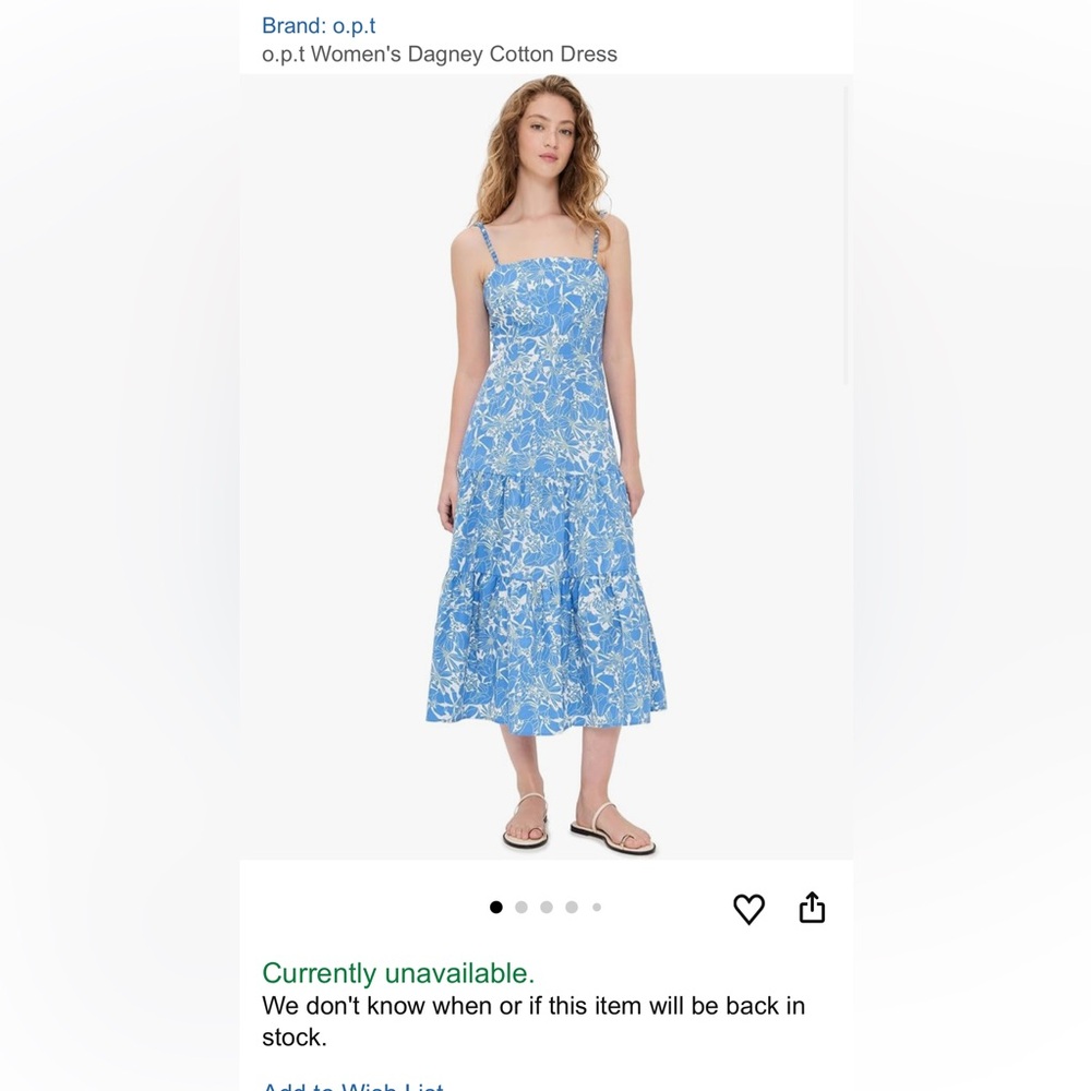 Floral Blue and White Maxi Dress